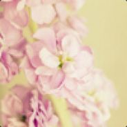 <3 - steam id 76561197961350857