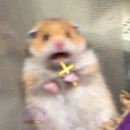 Xom9k