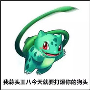 蒜头王  八