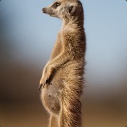 Impregnated virgin Gary