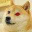 Na:VI doge