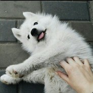 Лікарня святого миколая львів адреса