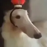 Lord Foog The 2st