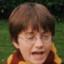 HarryPotHead