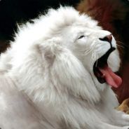 Chesu