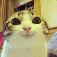 Krisz