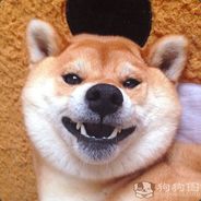 显西人