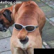 Bongofroe