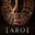 Group Avatar