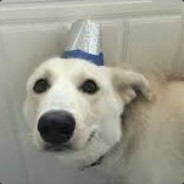 I'm forced to be here