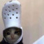 Croc_Boi