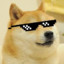 (TW)Doge