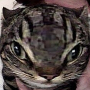 󠁳 󠁳 󠁳