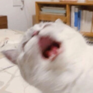 cu