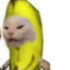 BananaCat2