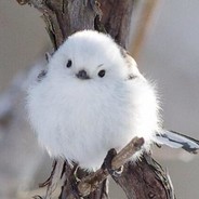 め▽め