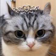 я просто хочу быть счастливым