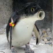 Glup Glup