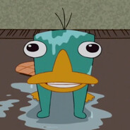 PERRY THE XUESOS
