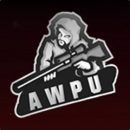 AWPU cs.money
