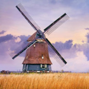 holand bakery