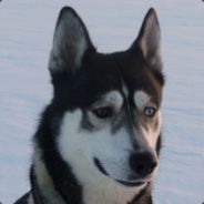 Seb