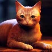 Miau