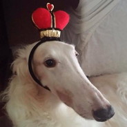Lord Stinky