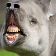 SpaceCurry®'s Avatar