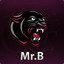 Mr.B