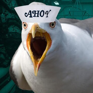Stevegull
