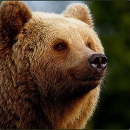 Grizsof 王