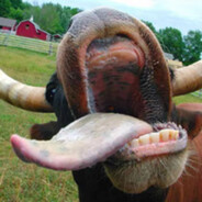 JorJaum Da Tortinetaum