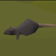 lvl 1 lumbridge rat