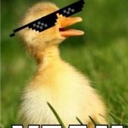 duck yeah