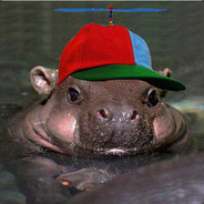 Hippo Jr.