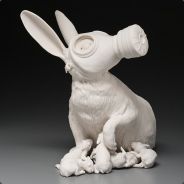 Myxomatosis avatar