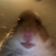 jaja sabela