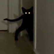 Demon Cat