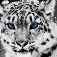 SNOW-EYE
