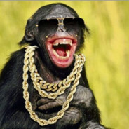 Dashagh Monkey