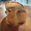 Capybara