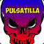 PulSAtillA