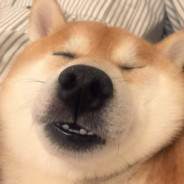 xdd