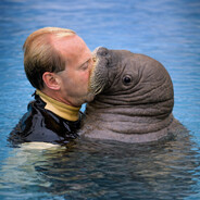 IKissManatees