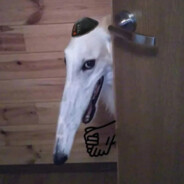 Assbreaker