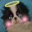󠀡󠀡󠀡⁧⁧tanuki