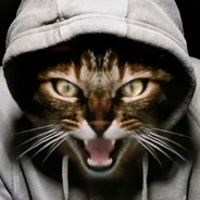 SAlaGa|csgetto.app|CSGetto.win