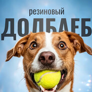 Резиновый дoлбаеб