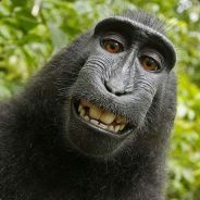 Kylian Mbappé's Avatar